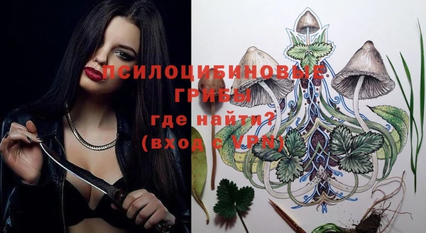 бошки Верхний Тагил