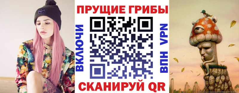 Галлюциногенные грибы Psilocybe  закладки  Калач-на-Дону 