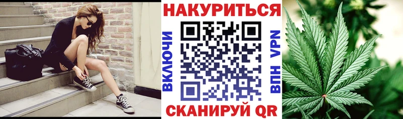 Каннабис сатива  Калач-на-Дону 